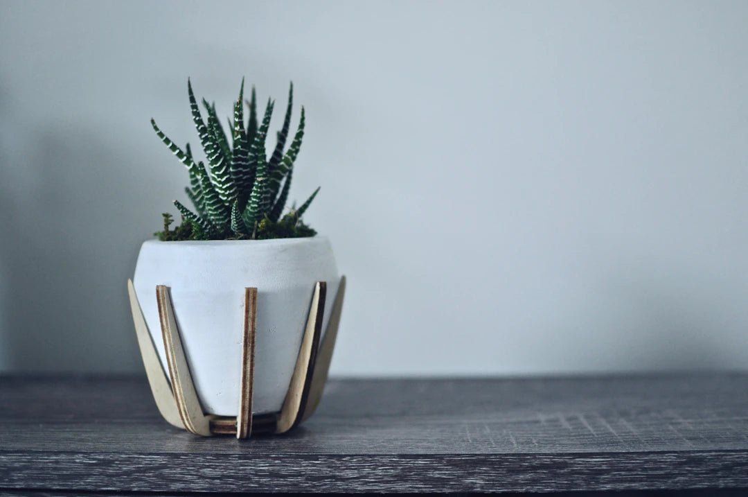 Accessorizing for Impact: The Power of Office Jewelry - AMVIM