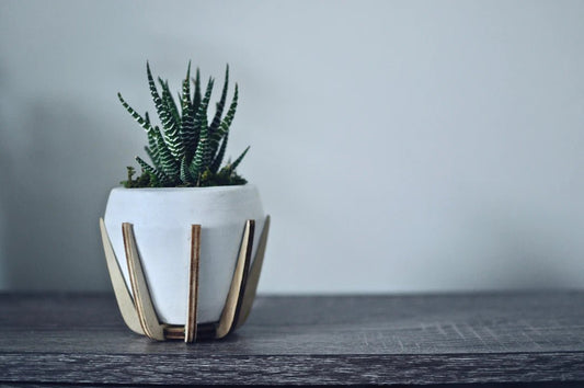 Accessorizing for Impact: The Power of Office Jewelry - AMVIM