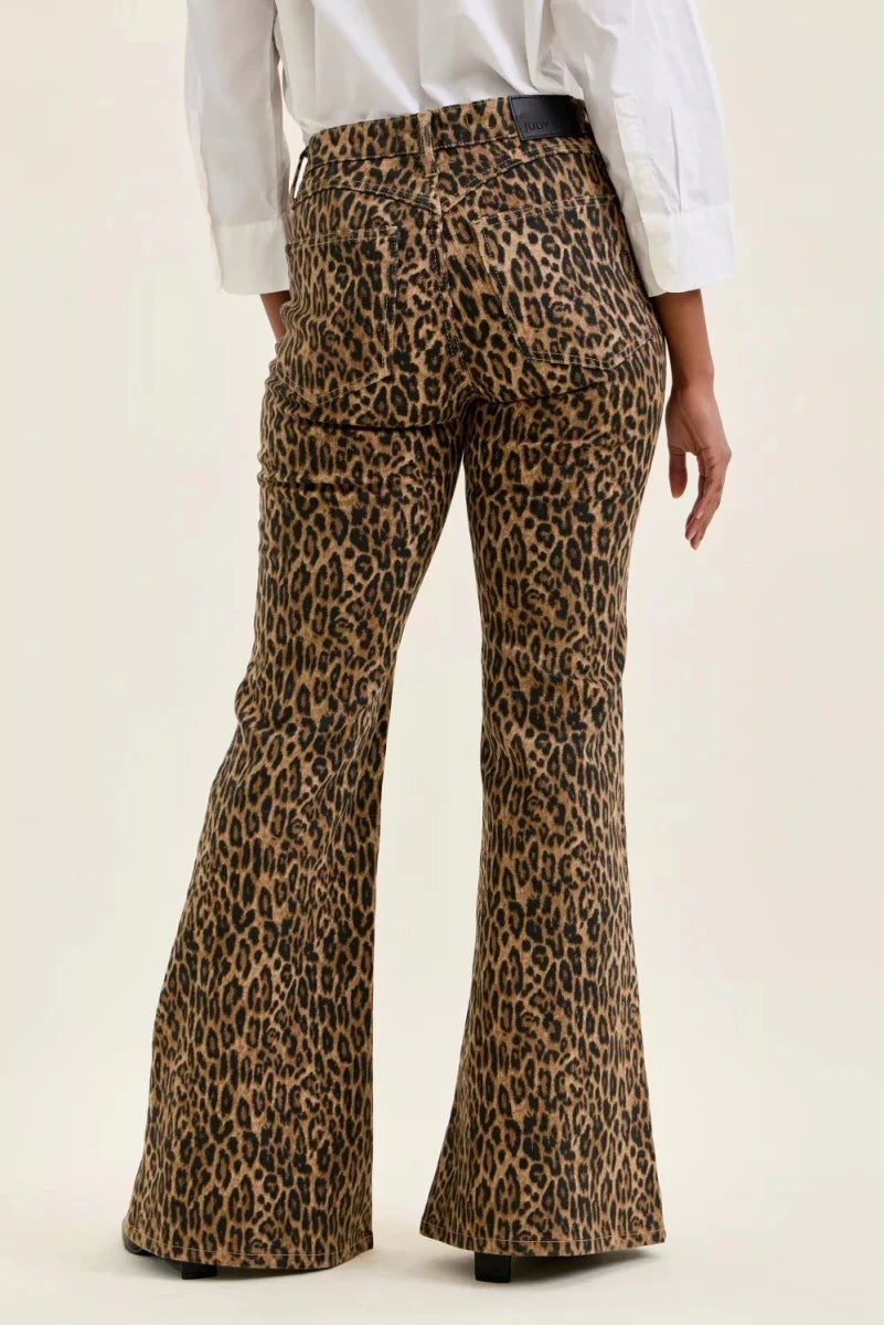 Judy Blue Mr Jaqueline Flare Print Leopard Jeans - AMVIM