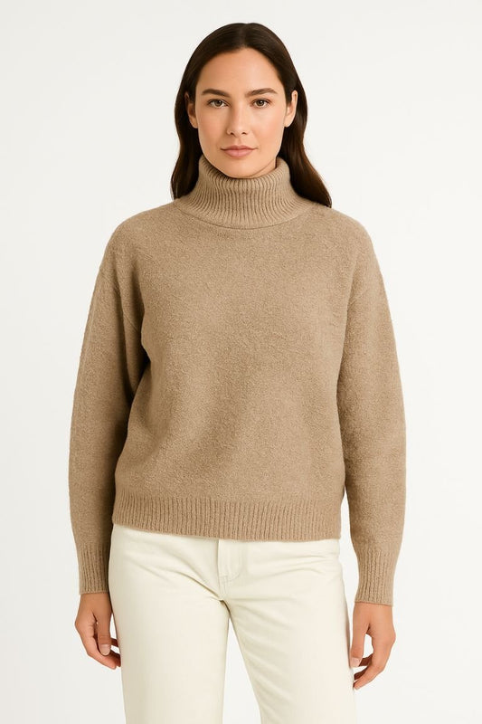 Women's Soft Knit Roll Neck Sweater with Long Sleeves - AMVIM